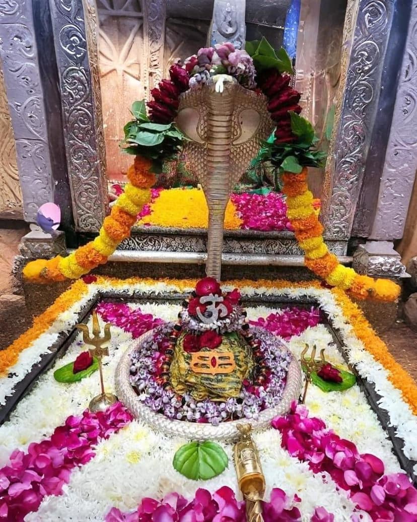 Vehicle interior and exterior view 3